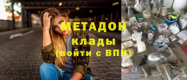 сатива Беломорск