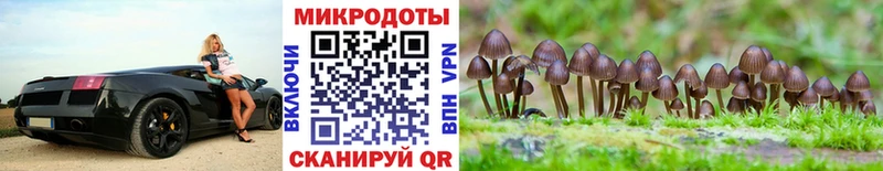 Псилоцибиновые грибы Psilocybe  мориарти какой сайт  Надым 