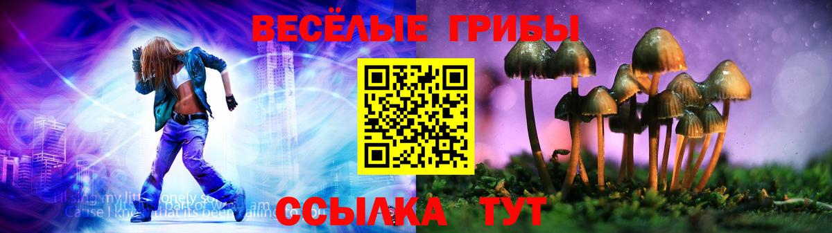 Псилоцибиновые грибы Magic Shrooms  Псилоцибиновые грибы Magic Shrooms  Вход с VPN  Надым 