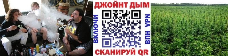 Бошки Шишки конопля  купить  цена  Надым 